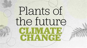 Plants of the future - climate change